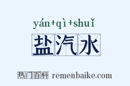 盐汽水是什么意思的图片